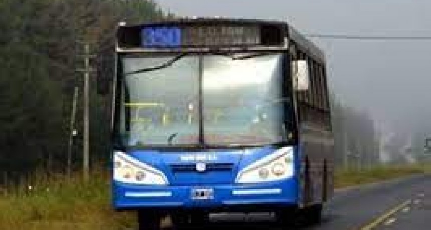 La empresa Ruta Bus comenzó con reducción de servicio