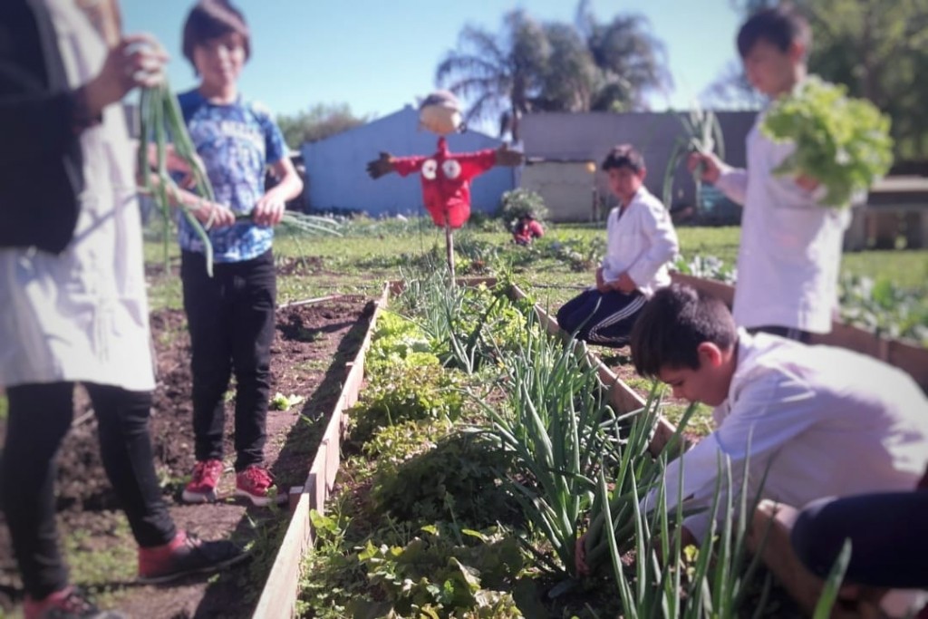 Huerta Agroecológica: se realizarán charlas para las escuelas 