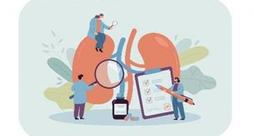 09/03 Se conmemora el Día Mundial del Riñón - Conocé las 8 reglas de oro para la Salud Renal