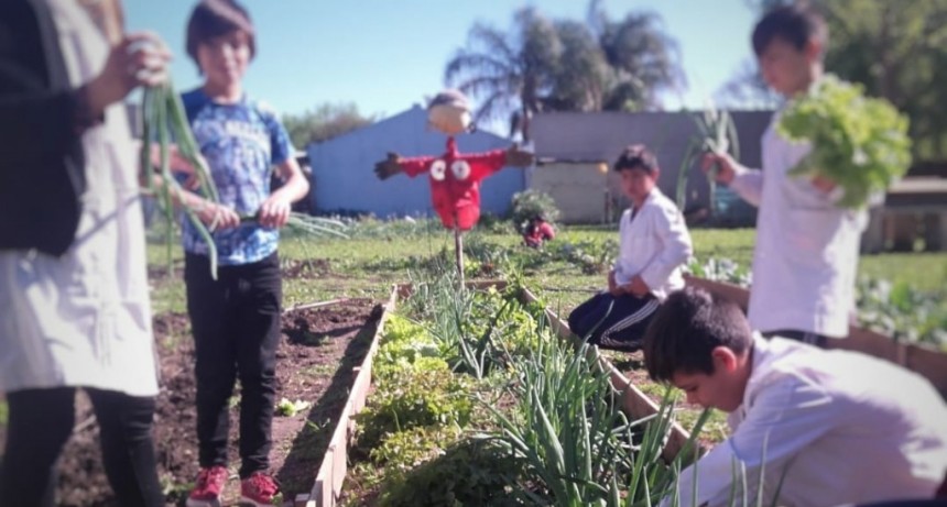 Huerta Agroecológica: se realizarán charlas para las escuelas 