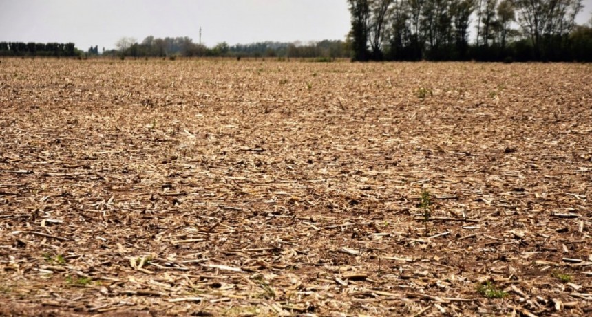 Se prorroga el estado de Emergencia y/o Desastre Agropecuario hasta octubre