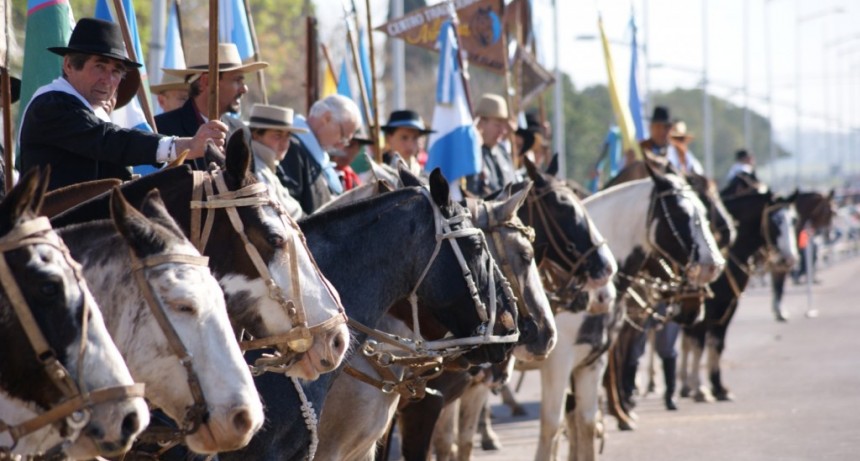 Día del Caballo Criollo: actividades conmemorativas libres y gratuitas 