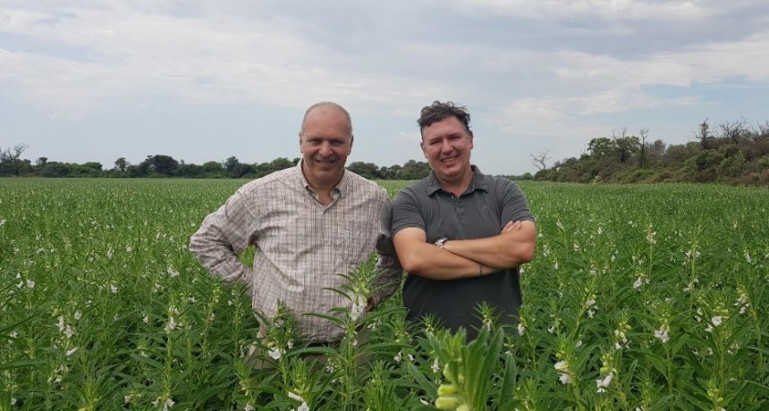 Dusen y DMC Agroindustrial cumplen años y se consolida en el segmento de especias y semillas