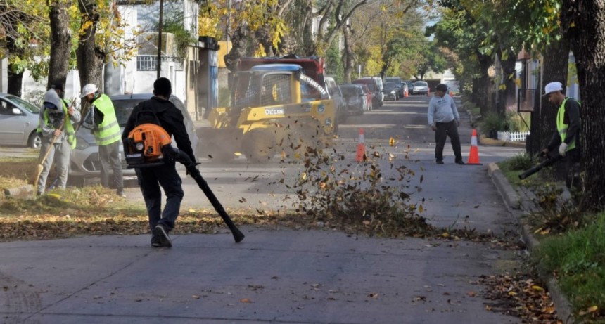 Luján Limpio: operativo de barrido y limpieza de hojas en la zona céntrica
