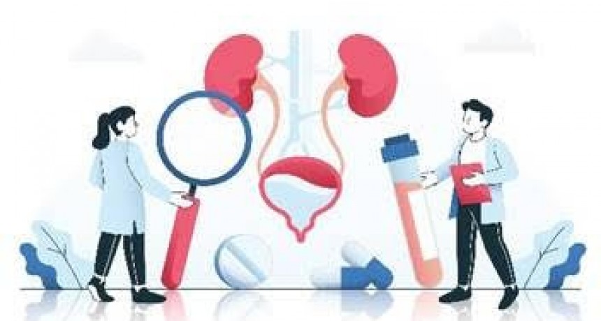 El trasplante preventivo de riñón, una alternativa viable para quienes esperan una mejor calidad de vida