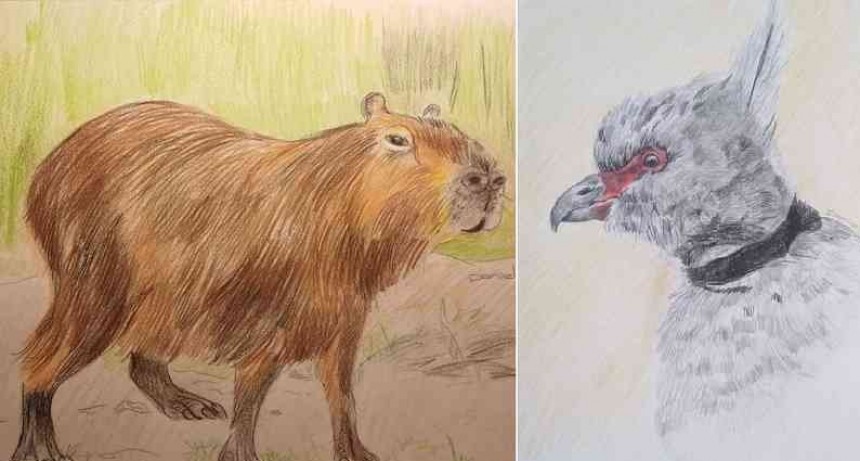 Muestra en La Cúpula: “Flora y Fauna del Luján”