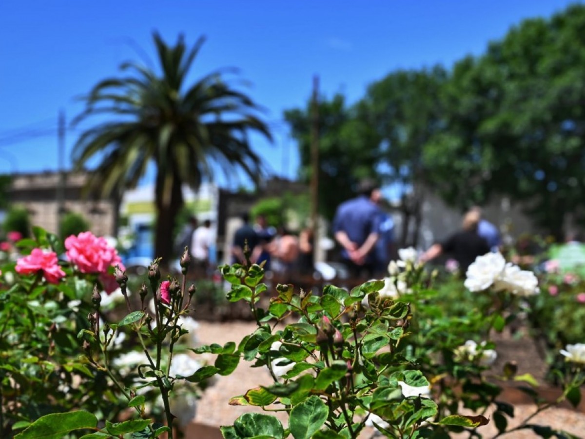 Jornada de poda y entrega de esquejes en el Rosedal del Parque San Martín