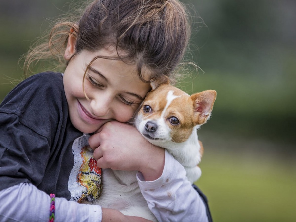 Las claves para el cuidado de la salud de los perros 