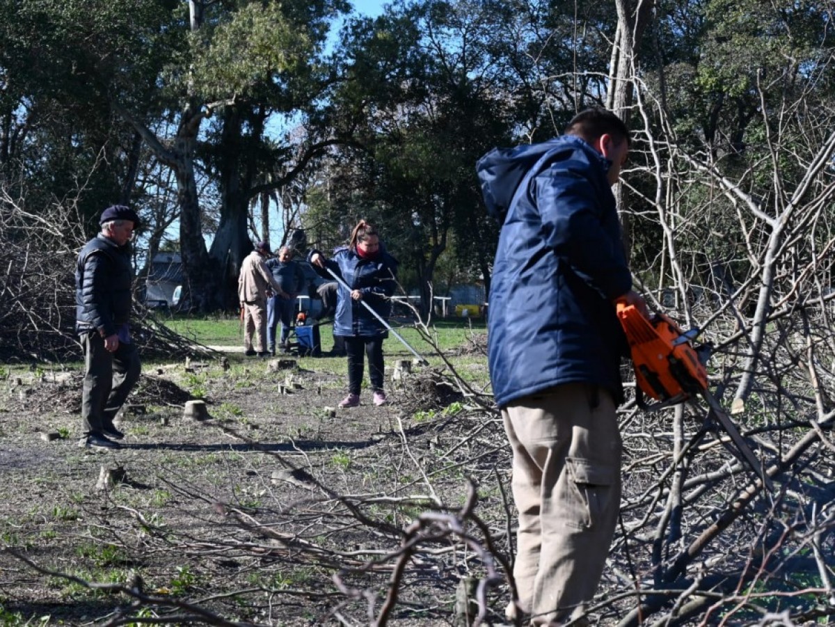 Avanza la eliminación de Acacio Negro y Ligustro en la Reserva Municipal Quinta Cigordia
