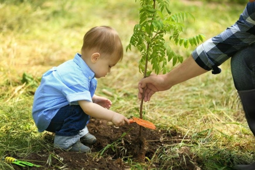 Ambiente: el Municipio lanzó la campaña “Un nacimiento, un árbol”