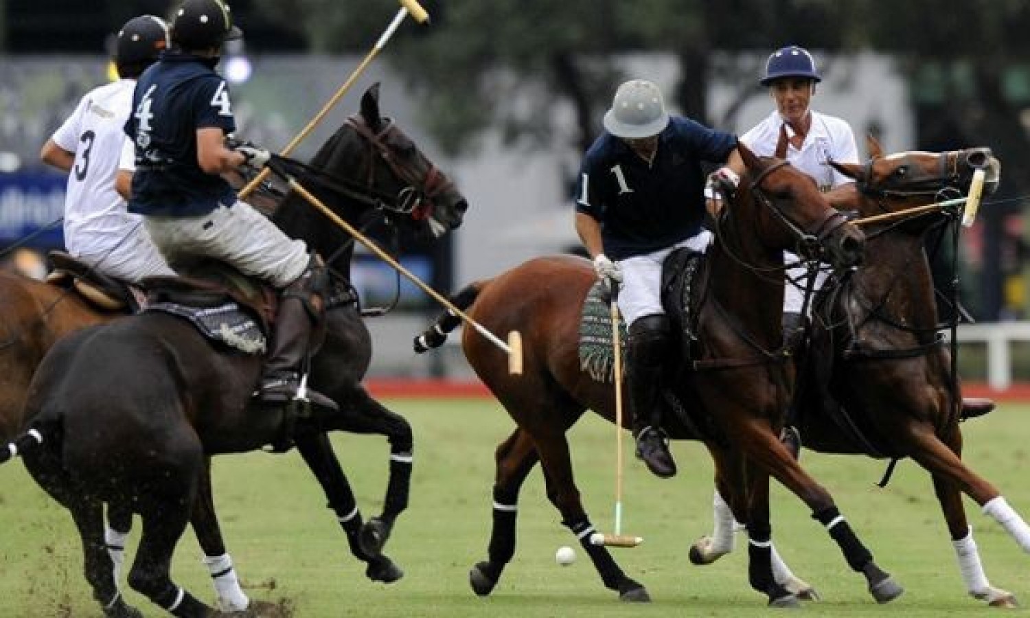 Mitos y verdades del Polo: el deporte en el que los argentinos somos, indudablemente, los mejores del mundo