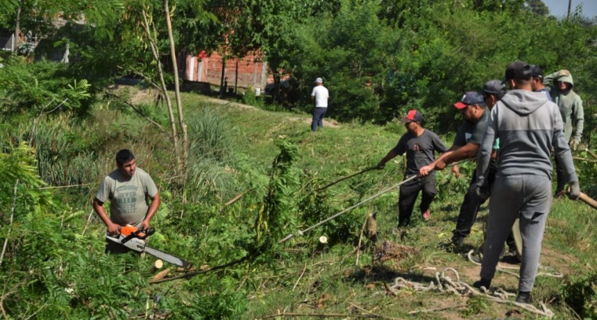 Se realizan trabajos de saneamiento del arroyo Gutiérrez