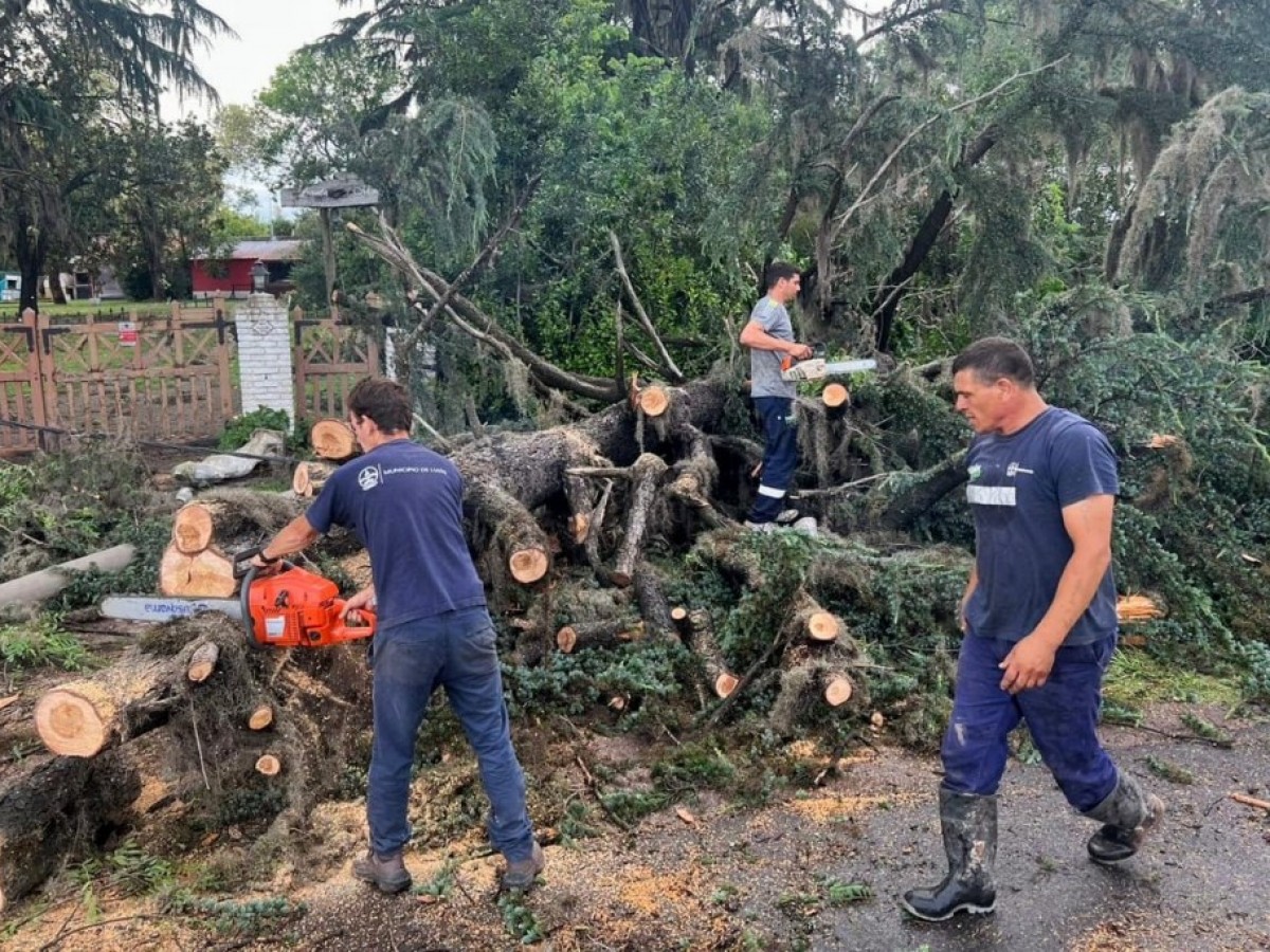 Más de 10 cuadrillas continúan trabajando para atender los daños causados por el temporal