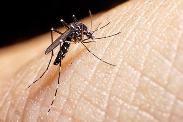 La mejor defensa contra el dengue en la prevención