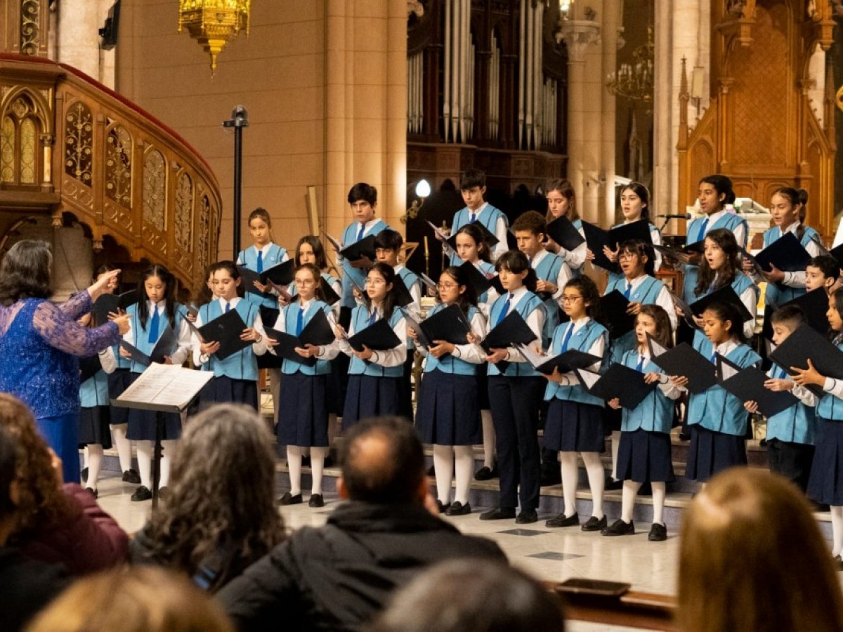 Se realizará una nueva fecha de los Conciertos del Árbol Solo 
