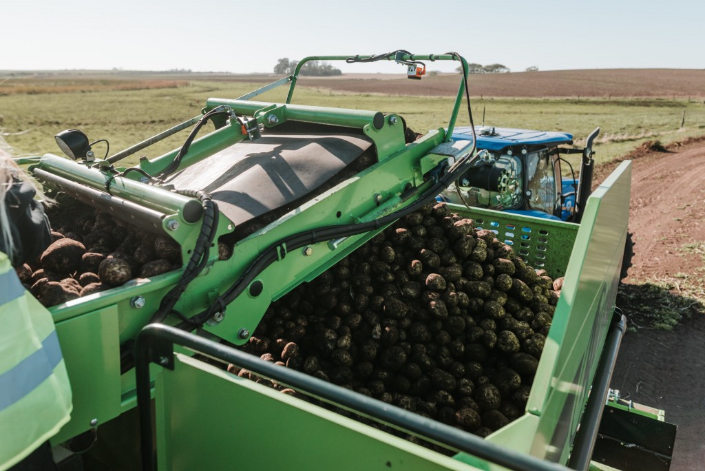 El impacto de la agricultura regenerativa en los snacks que consumen los argentinos