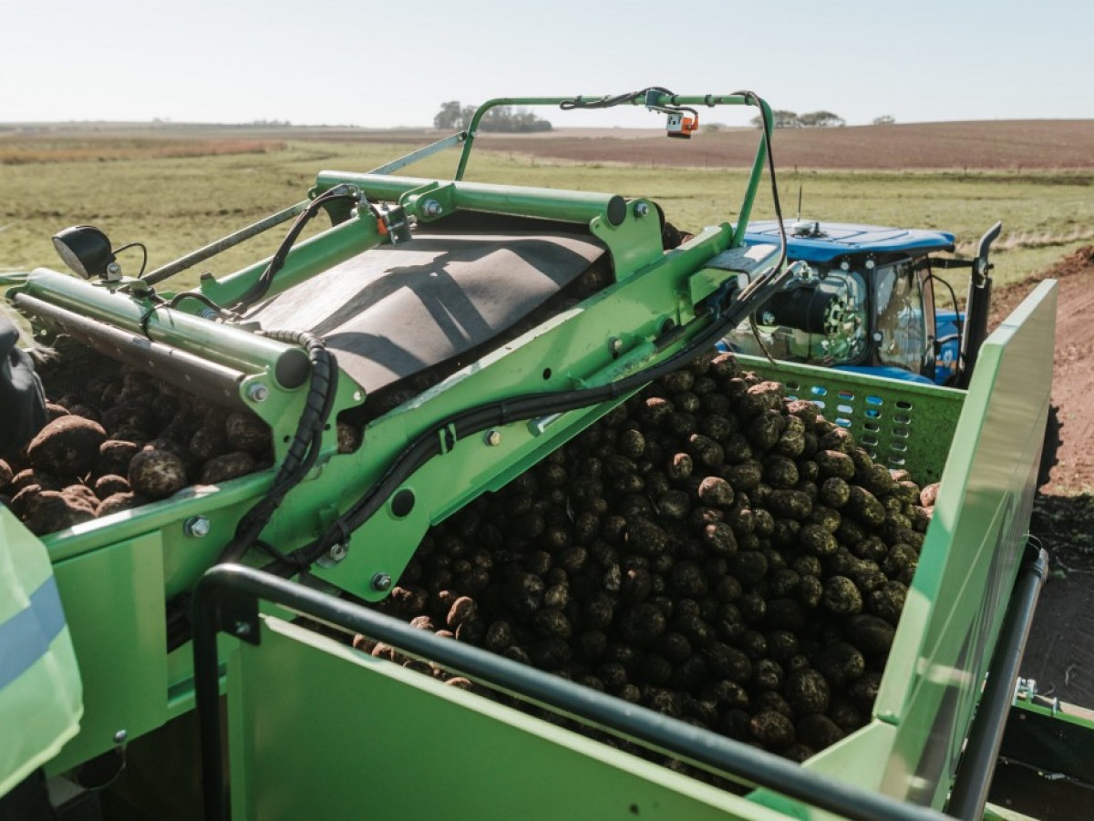 El impacto de la agricultura regenerativa en los snacks que consumen los argentinos