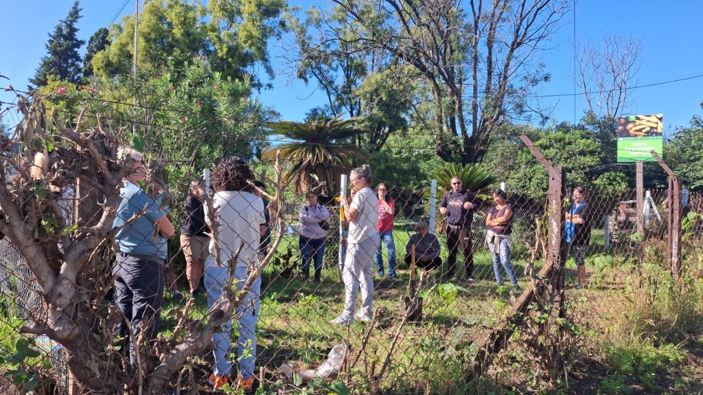 “Huerta en Casa”: se entregarán semillas de la temporada primavera-verano