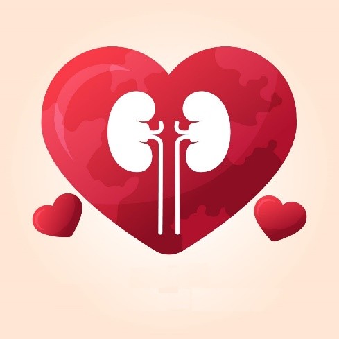 29/09 - Día Mundial del Corazón. Protege tu corazón cuidando tus riñones