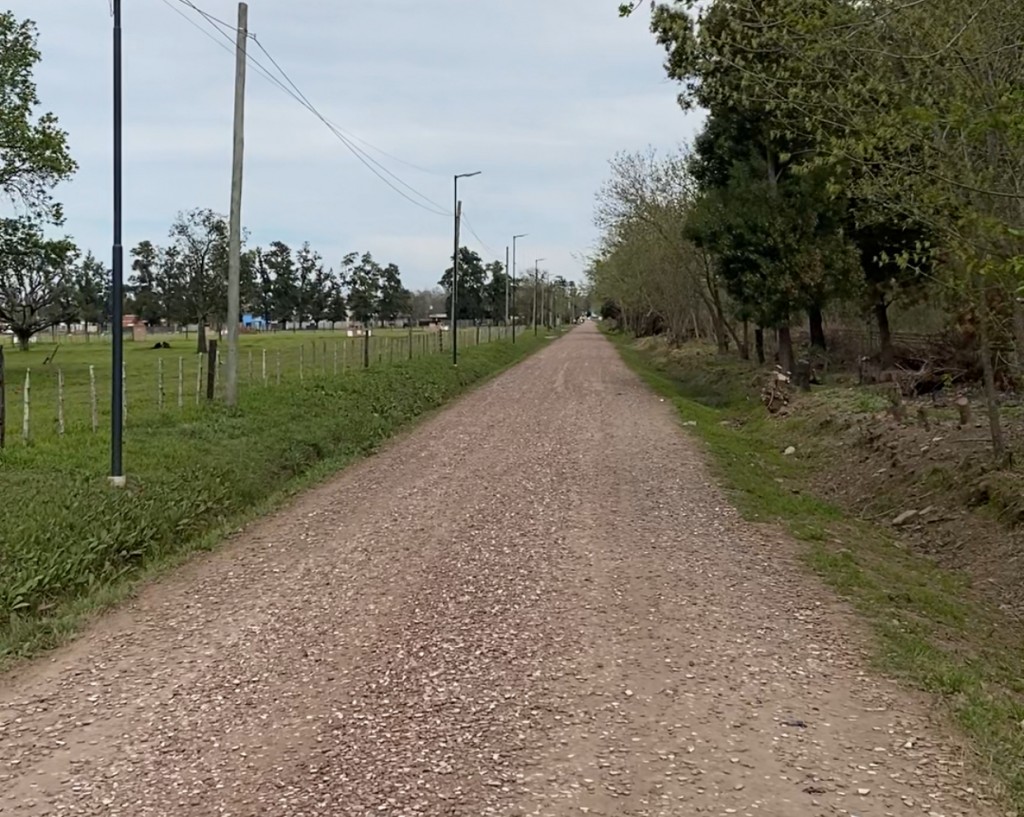 Plan de mejoramiento vial con cerámica partida en la totalidad de Cortínez