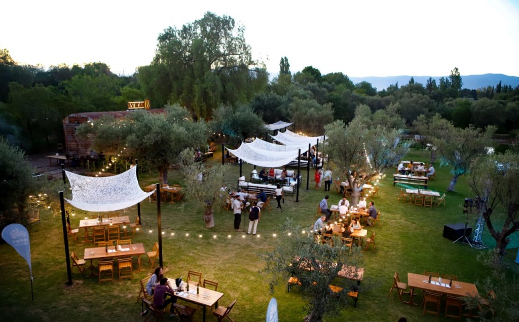 Bodega Trapiche brilla en la escena internacional con premio en Best of Mendoza's Wine Tourism