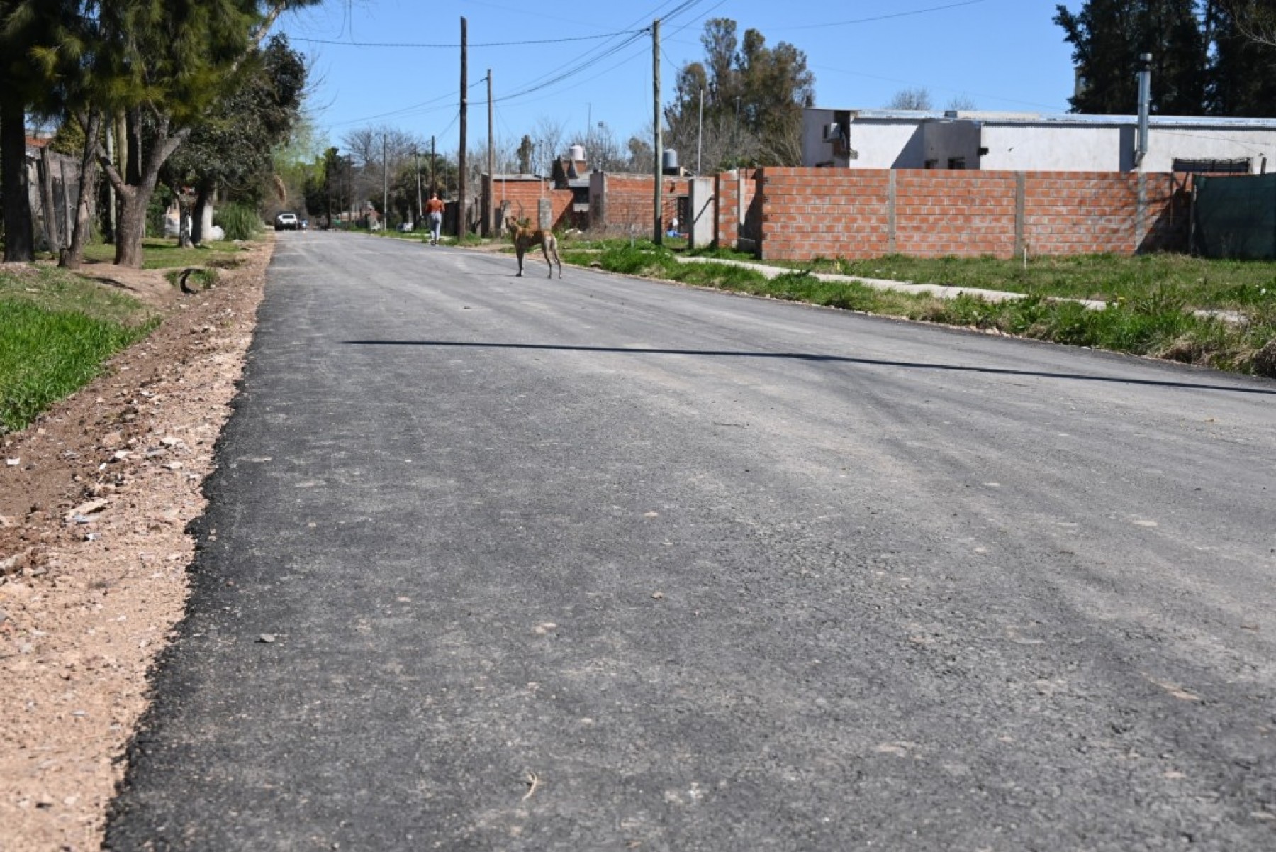 El Municipio pavimentó tres nuevas cuadras en el barrio Padre Varela