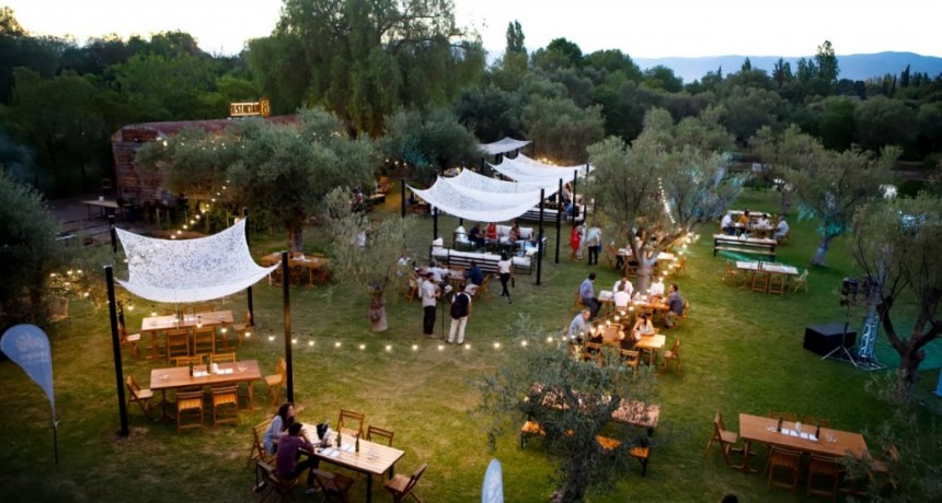 Bodega Trapiche brilla en la escena internacional con premio en Best of Mendoza's Wine Tourism